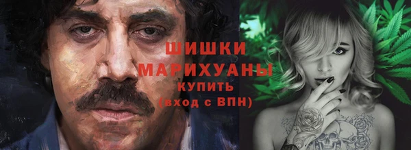 гидра Верхний Тагил