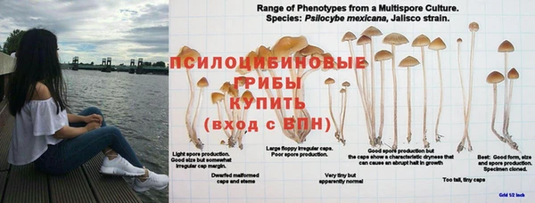 трава Рославль